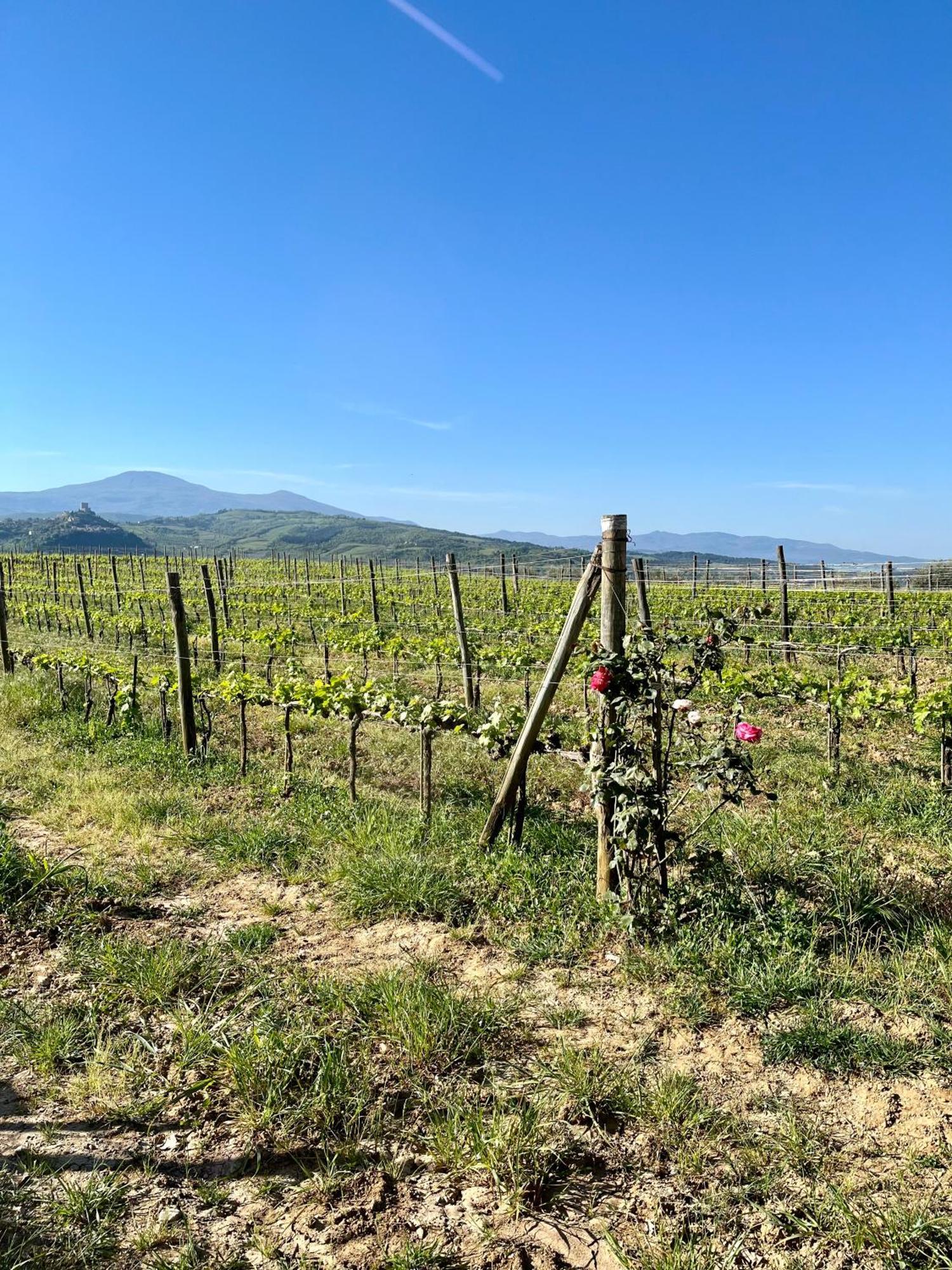 Agriturismo Le Querciole In Val D'Orcia Bagno Vignoni Exterior foto