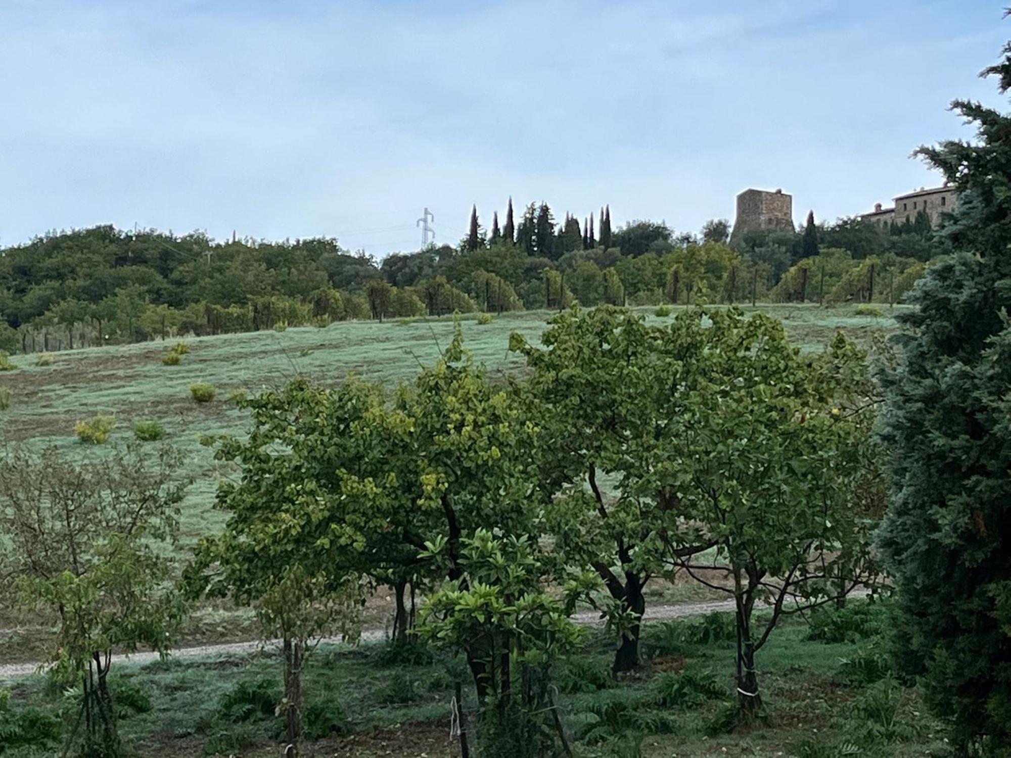 Agriturismo Le Querciole In Val D'Orcia Bagno Vignoni Exterior foto
